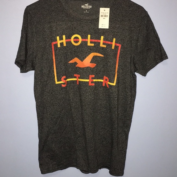 Brand New Hollister T-Shirt Small - Picture 1 of 3